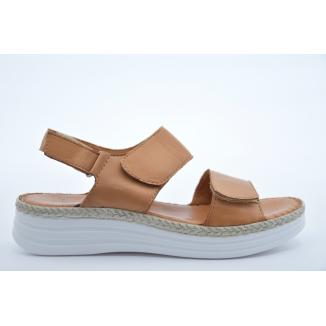 Charlotte  0523609-062