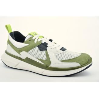 Ecco Biom 2.2