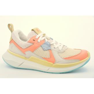 Ecco Biom 2.2